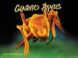 Guano Apes